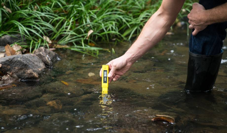 17 Environmental Science Internships To Get You Started on a Career in Sustainability