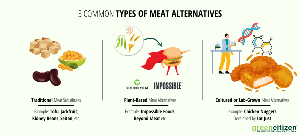 3 Common types of meat alternatives