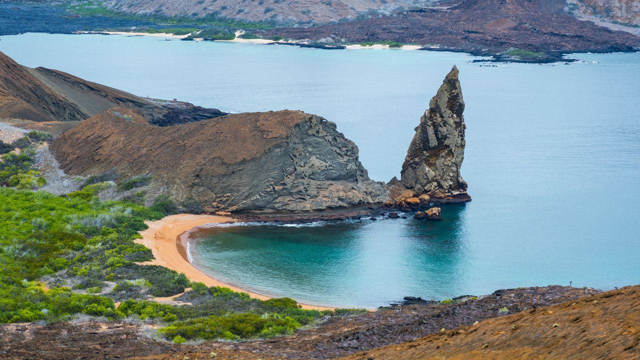 30 New Deep-Sea Species Discovered Off the Galapagos Islands