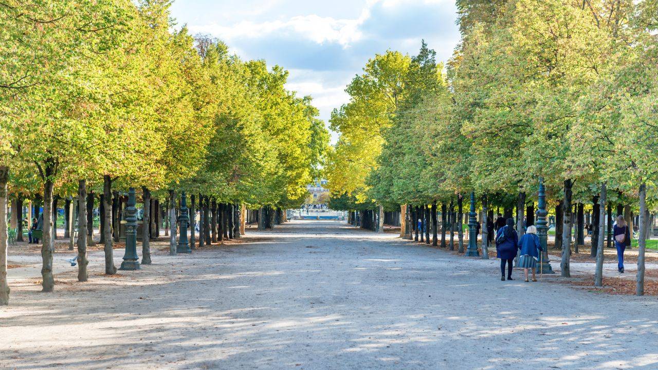 A Green Transformation For Paris