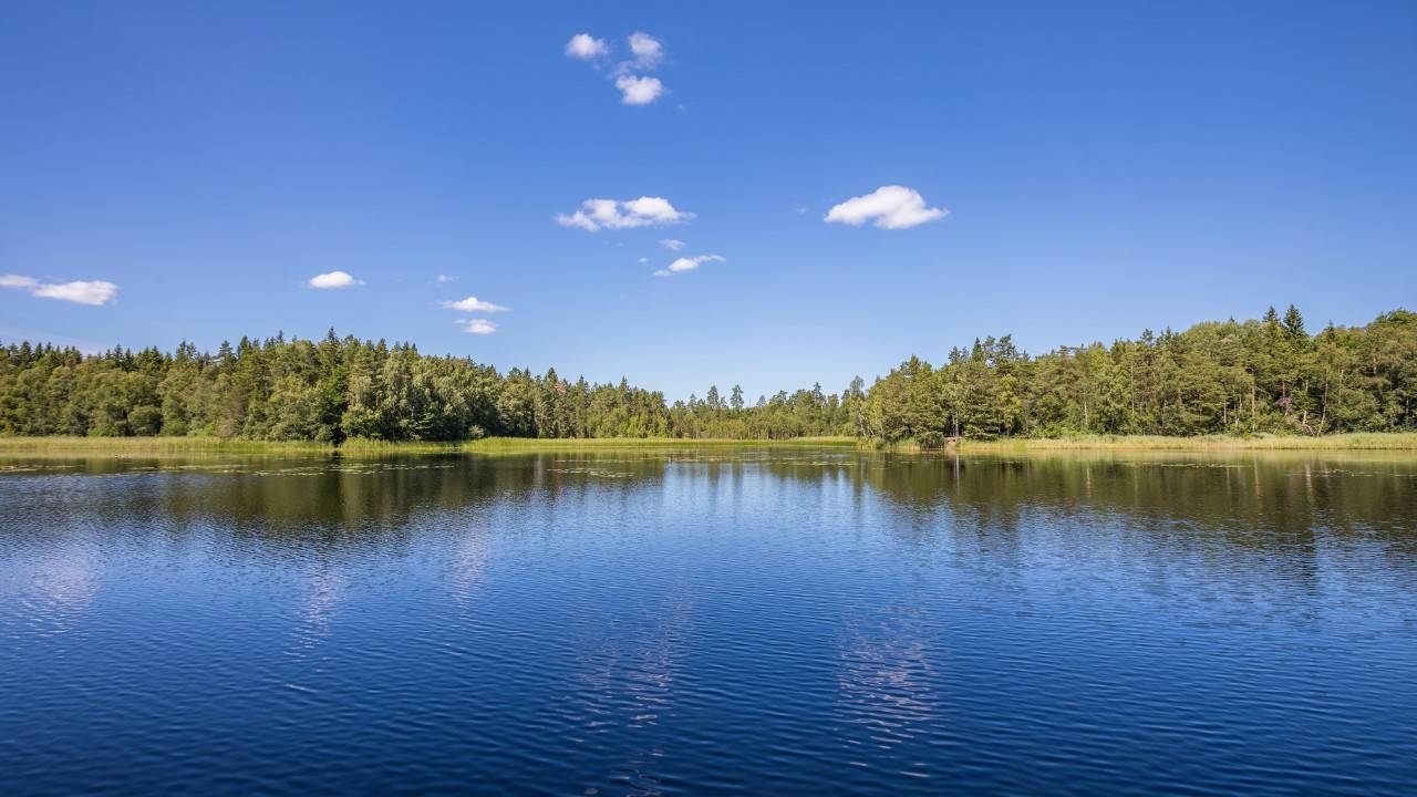 A Man Cleans An Entire Contaminated Lake