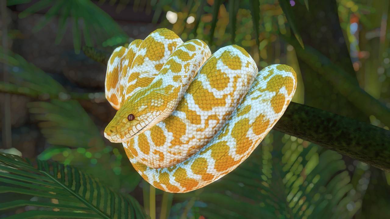 A New Species Of Snake Found Hidden In A Biodiversity Collection