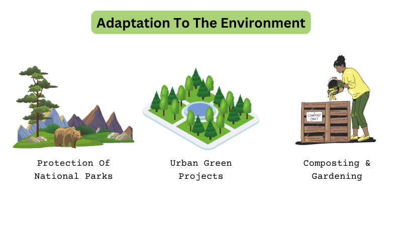 Adaptation To The Environment human environment interaction