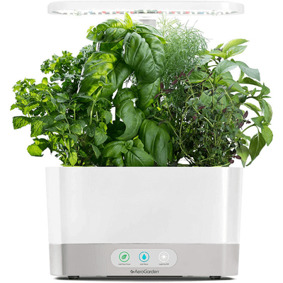 AeroGarden Hydroponic Indoor Garden