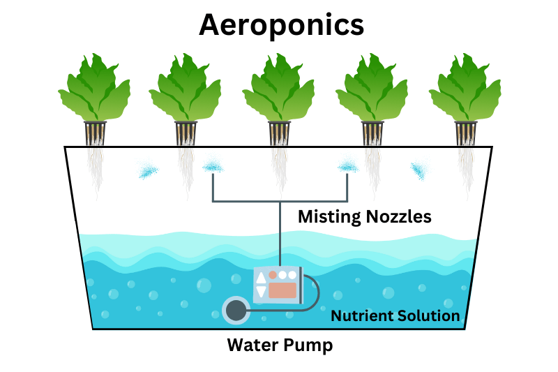 Aeroponics