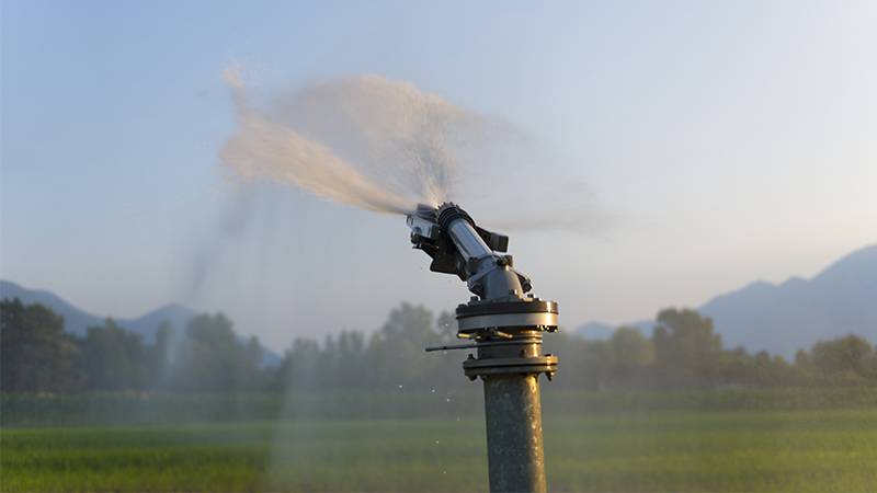 Amazon’s Ambitious Water Restoration Efforts
