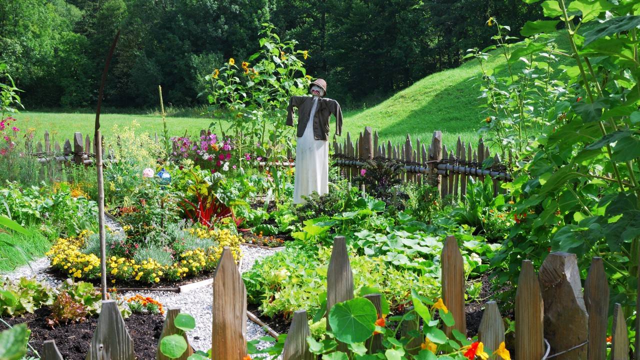 Aussie Family Uses 80% Less Electricity With Sustainable 1/10th of an Acre Space