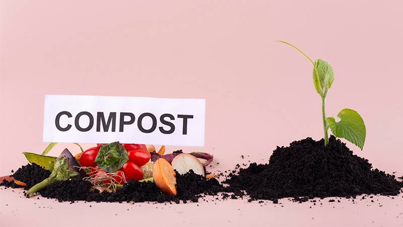 Backyard Composting