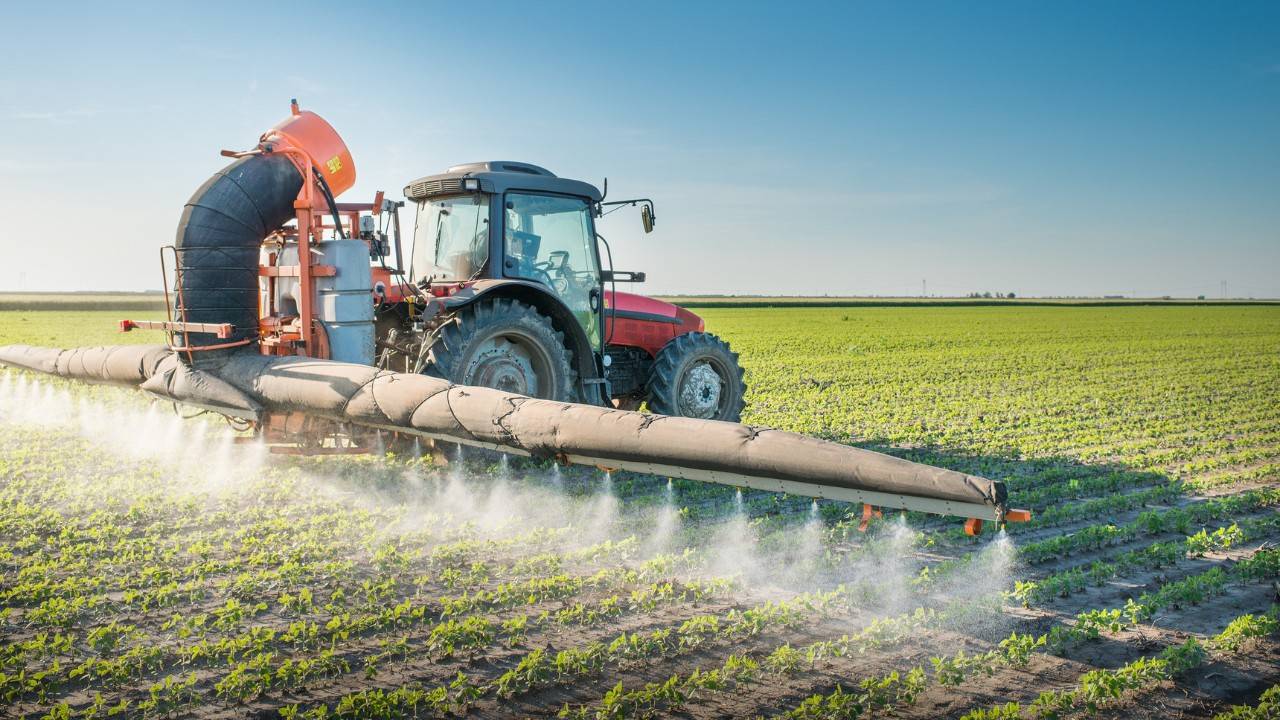 Baltimore City Council Votes For Stricter Regulation Of Toxic Pesticides