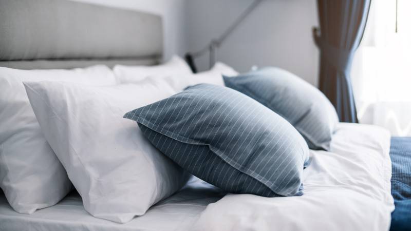 Best Organic Pillows