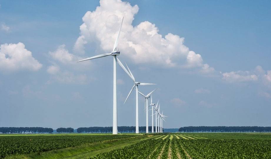 Biden Administration Approves the Biggest Wind Farm in the U.S. and It’s Off Martha’s Vineyard