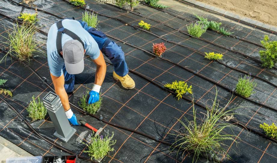 Building Your Vertical Garden