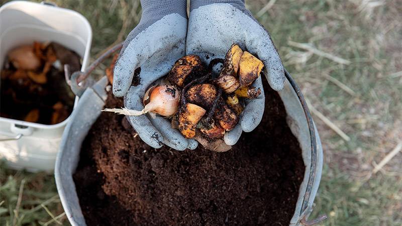 Bury food scraps in your compost