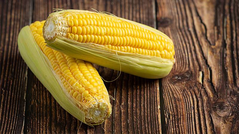 Can you compost corn cobs