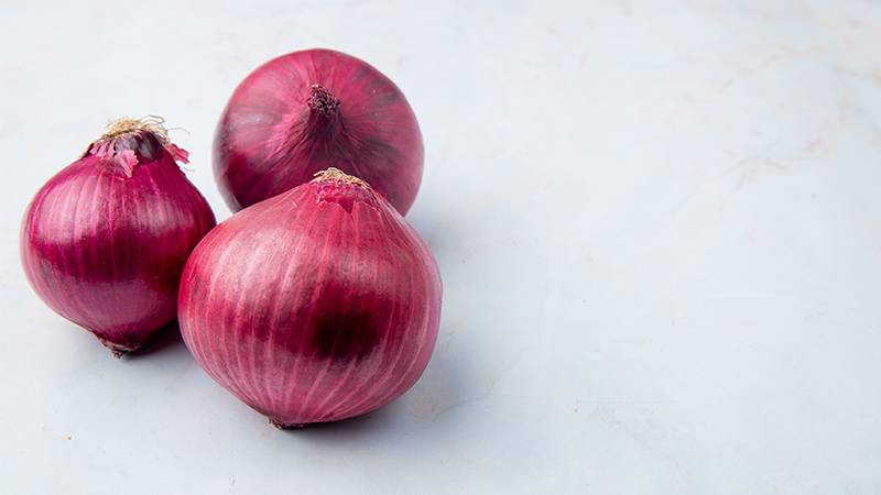 Featured image for can you compost onions article