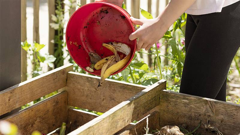 Can you put moldy food in compost