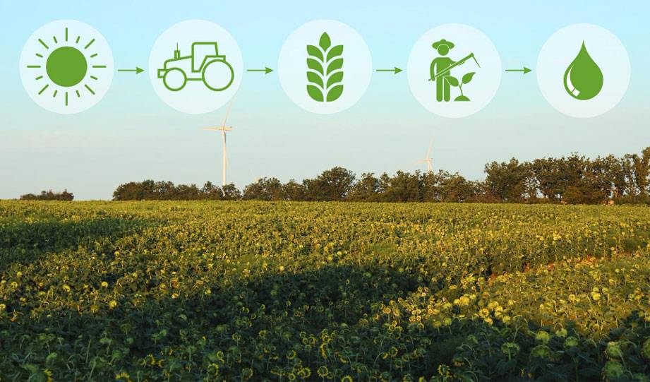 Carbon-Smart Farming Can Help Us Change The Way America Eats