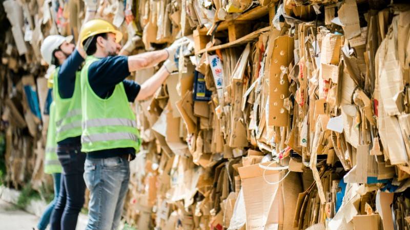 Cardboard Recycling Process