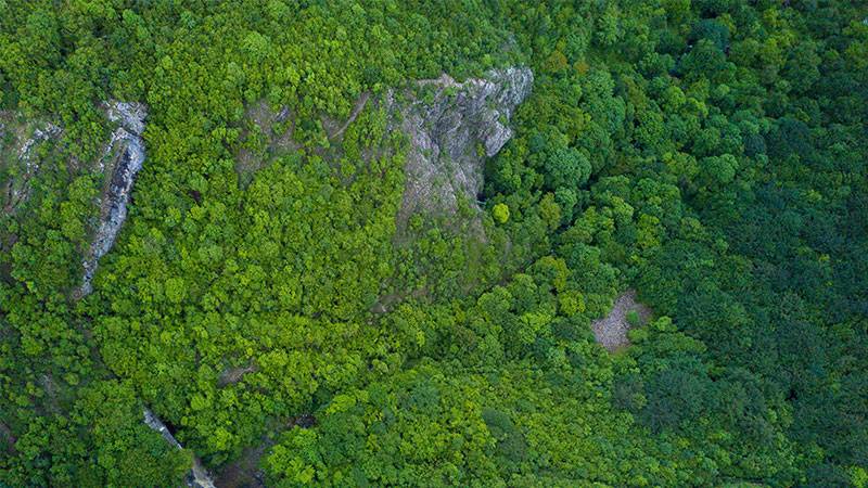 Featured image for Colombian Deforestation Slows as Peace Efforts Turn Focus to Environmental Protection article