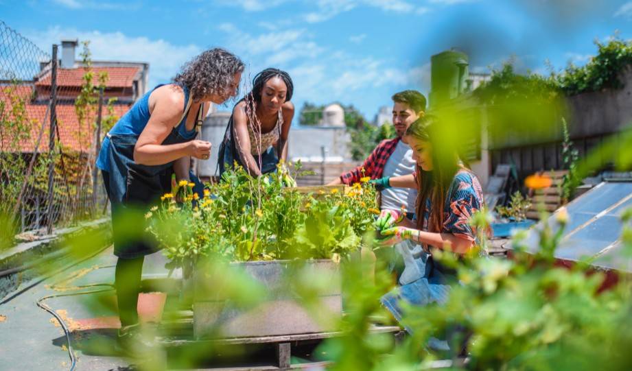 Community Garden