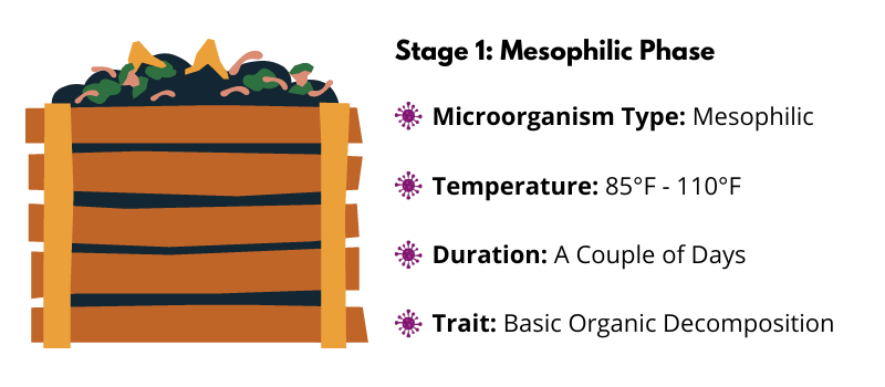 Compost Pile Mesophilic Stage 1