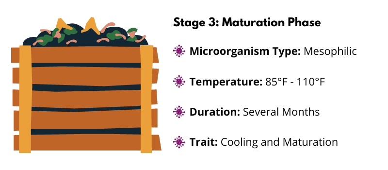 Compost Pile Maturation Stage