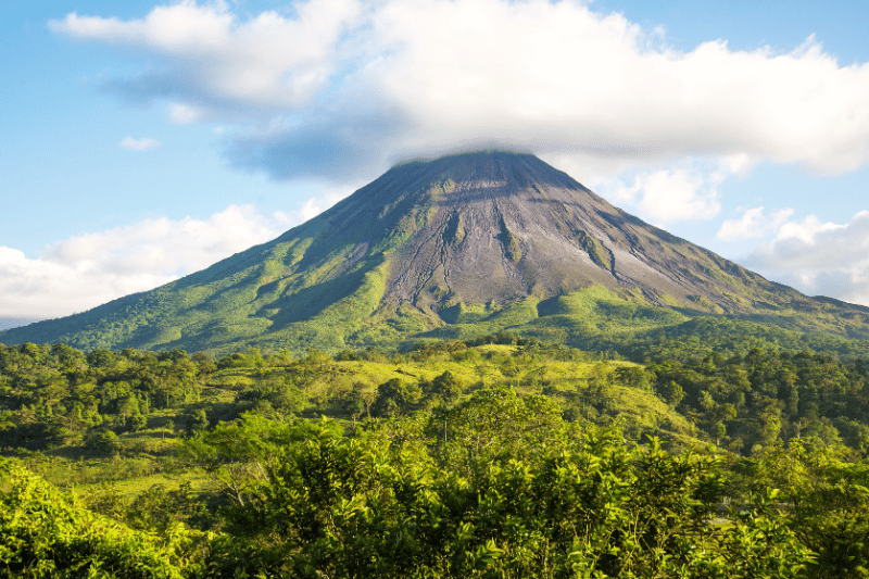 Costa Rican Wildlife Tour