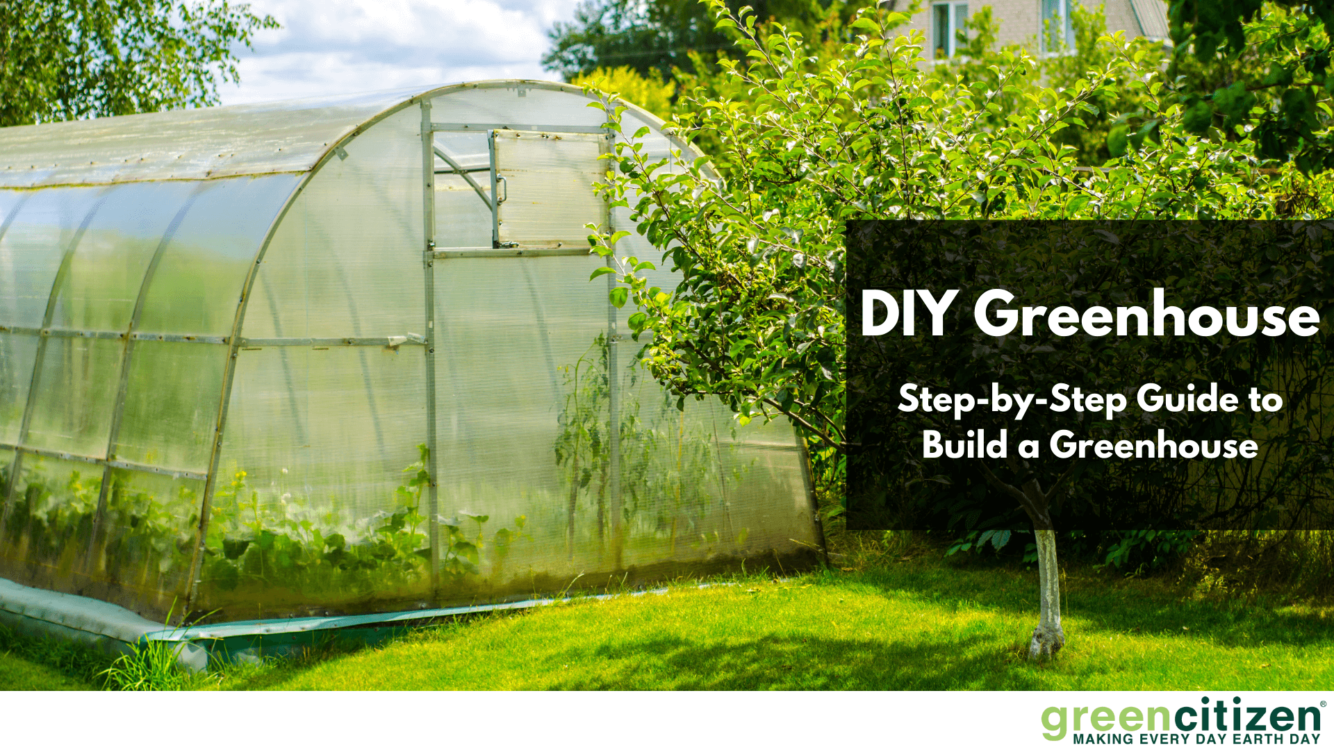 DIY Greenhouse