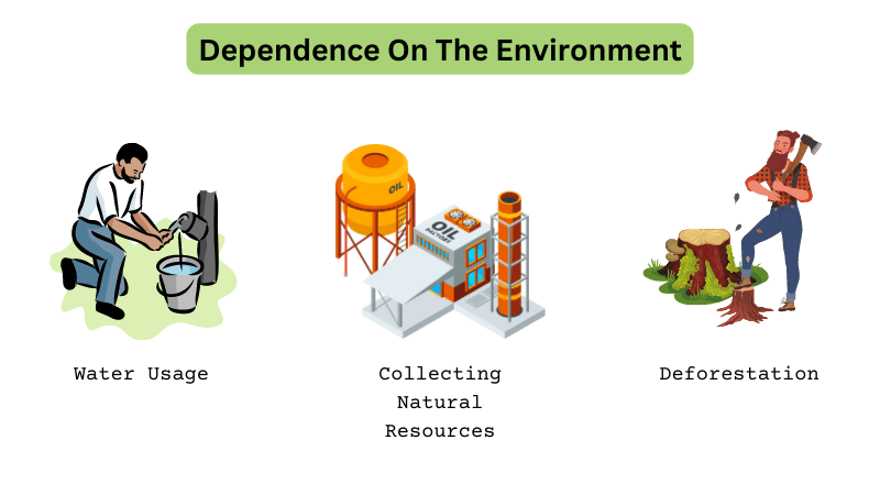 Dependence On The Environment human environment interaction