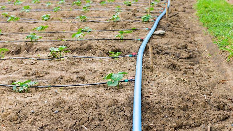 Drip Irrigation Systems