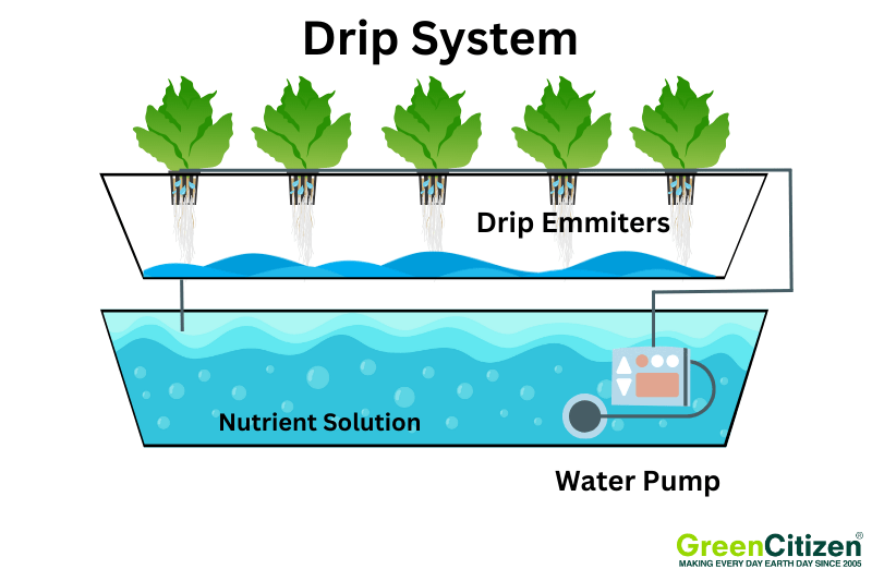 Drip System