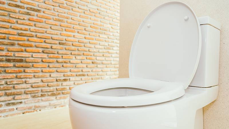 Dual Flush Toilets as a water saving device