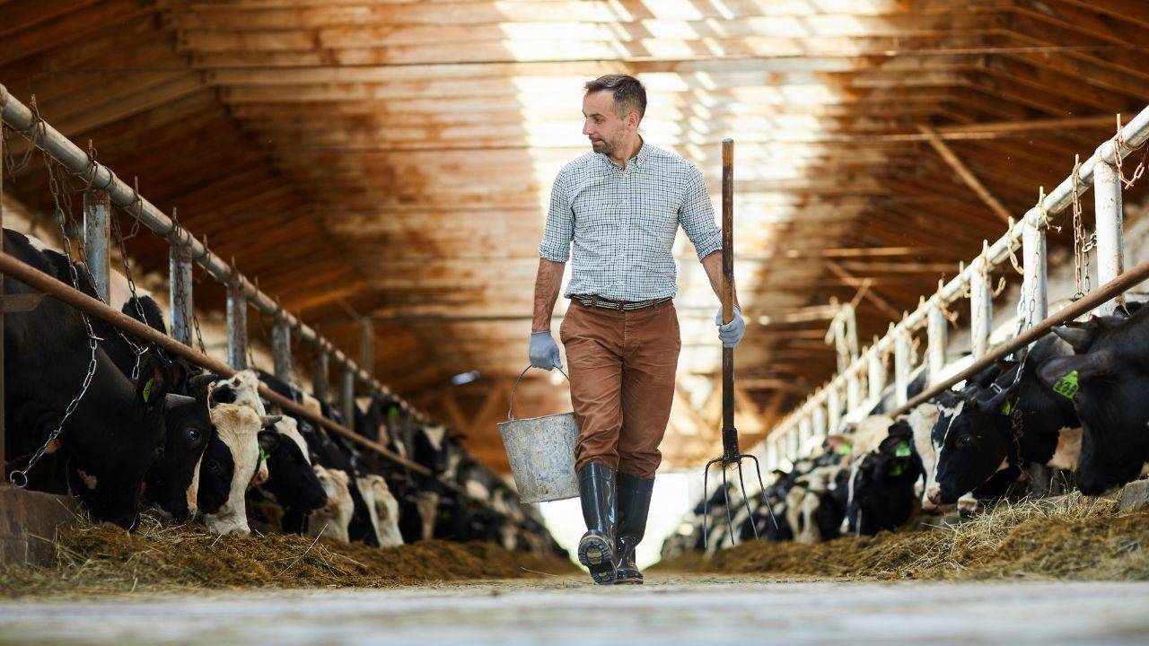 EPA Reconsidering Regulations for Farms That Pollute Waterways