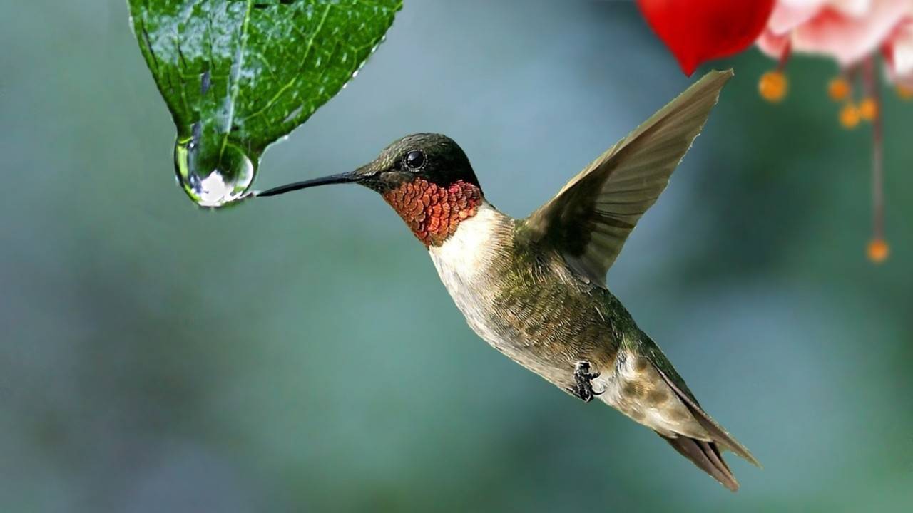 East Yorkshire Launches Ambitious Nature Recovery Plan