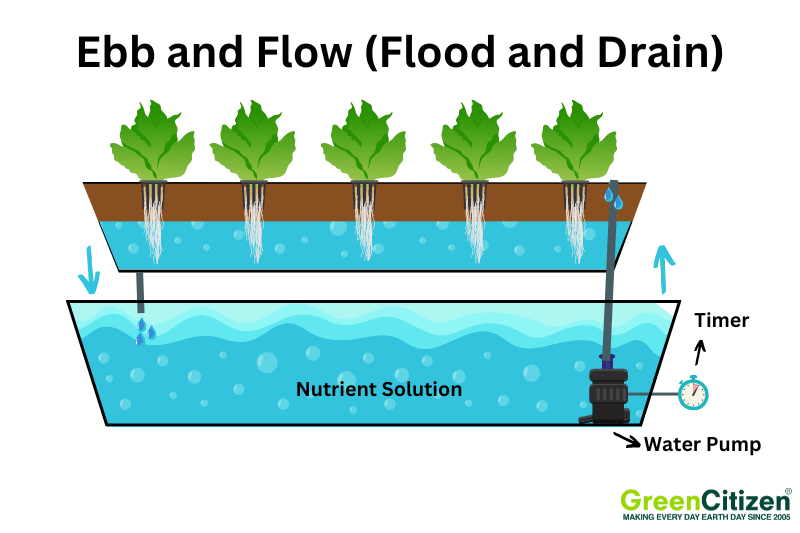 Ebb and Flow (Flood and Drain)