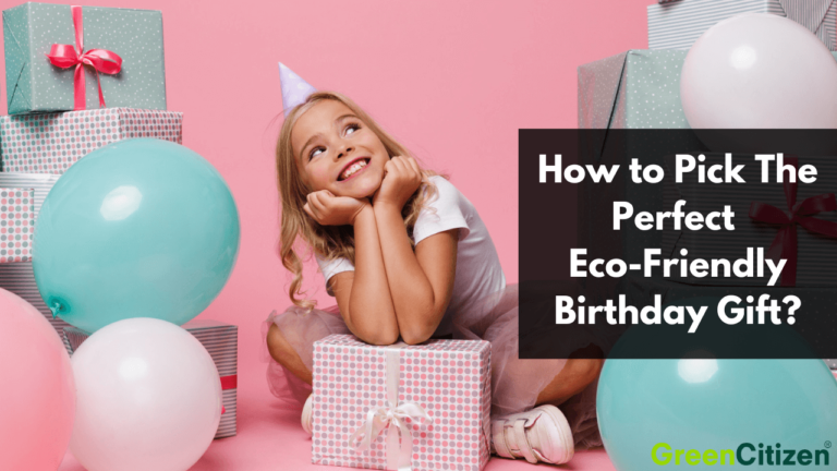 Eco-Friendly Birthday Gift