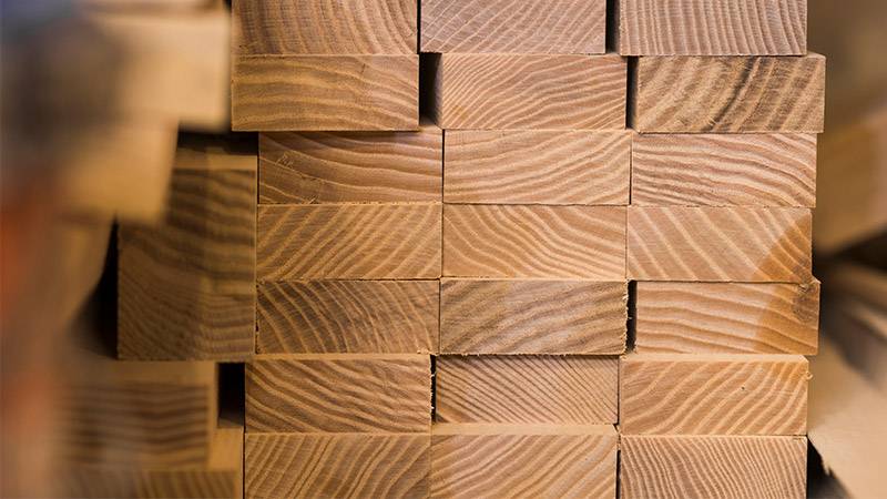 Eco-Friendly Building Revolution - Mass Timber's Positive Impact on the Planet