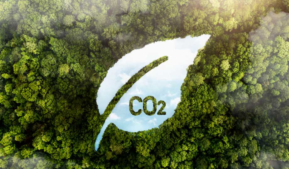 Elon Musk’s Prize Fund For Carbon Capture Technology