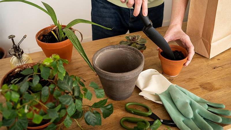 Enriching Potting Mixes