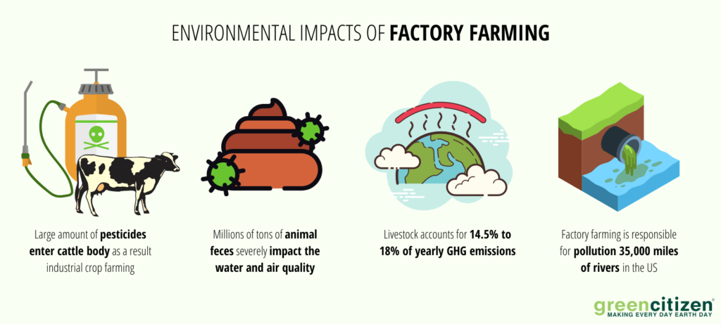 Environmental Impacts of Factory Farming