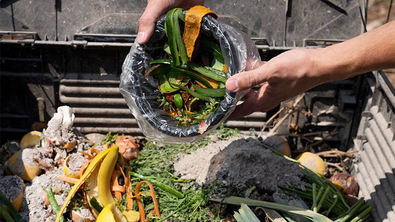 Food Waste in Compost