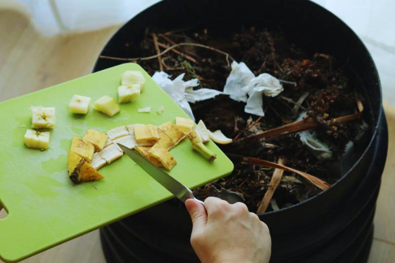 Feeding the worms in worm composting bin