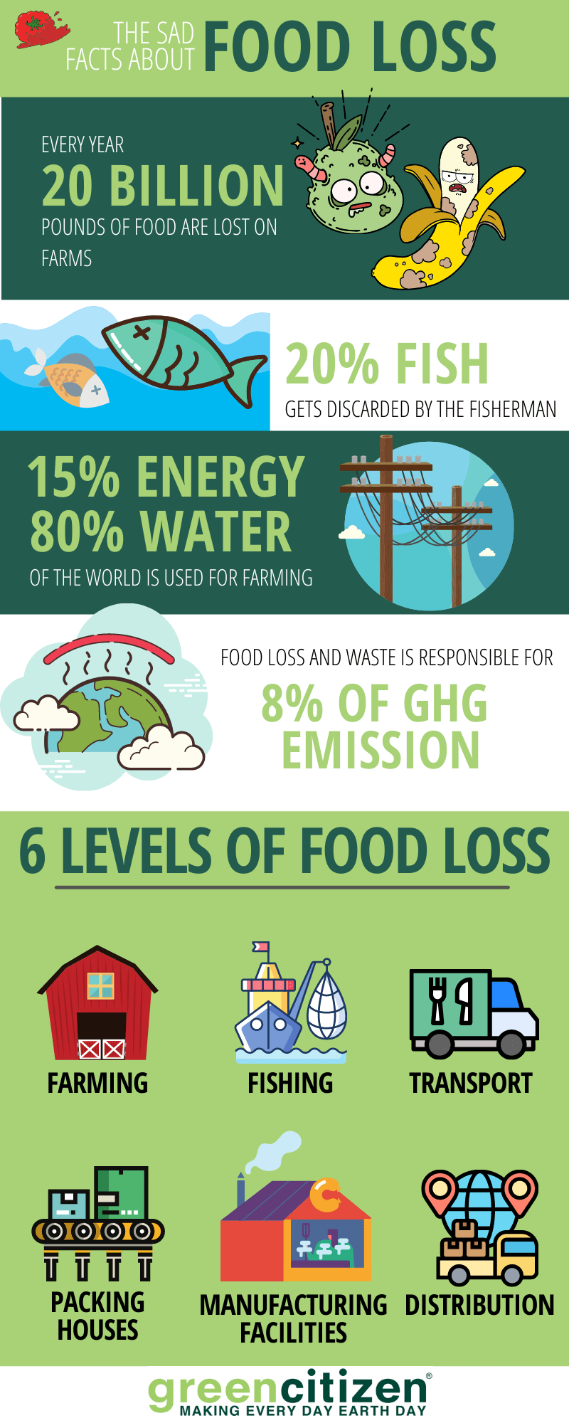 food loss infographic