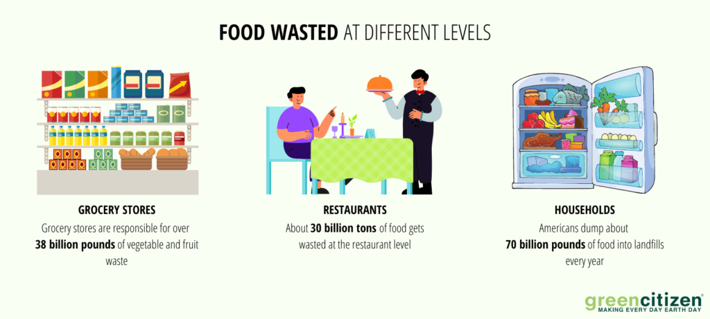 Food Wasted At Different Levels