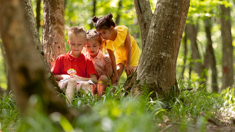 Forest Schools Nurture Healthier, Resilient Kids