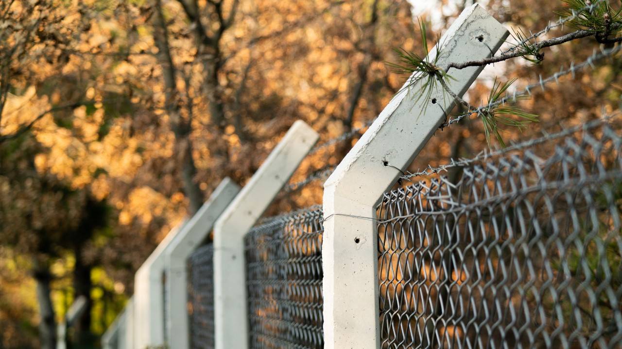 Former West-East German Border Will Become Green Oasis, German Government Says