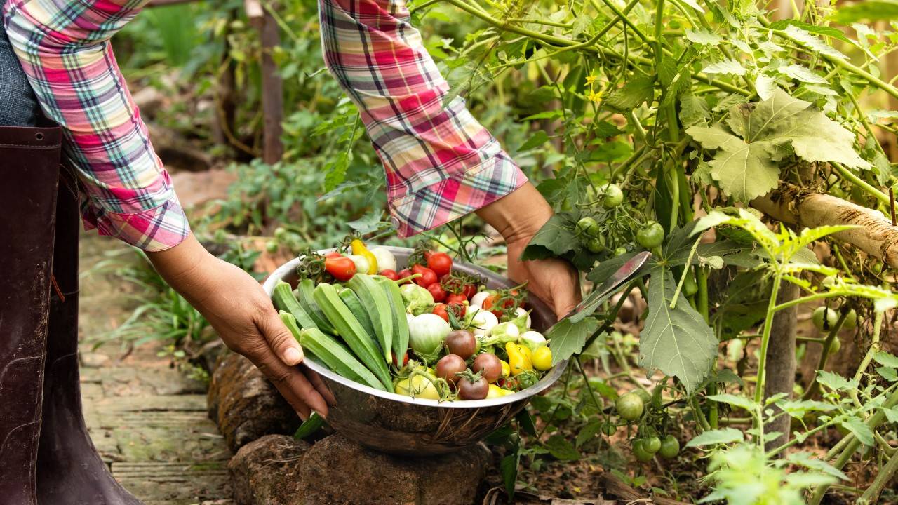 From Coalfields To Organic Farming In West Virginia