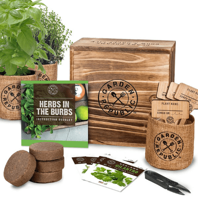 GARDEN REPUBLIC Indoor Herb Garden Starter Kit