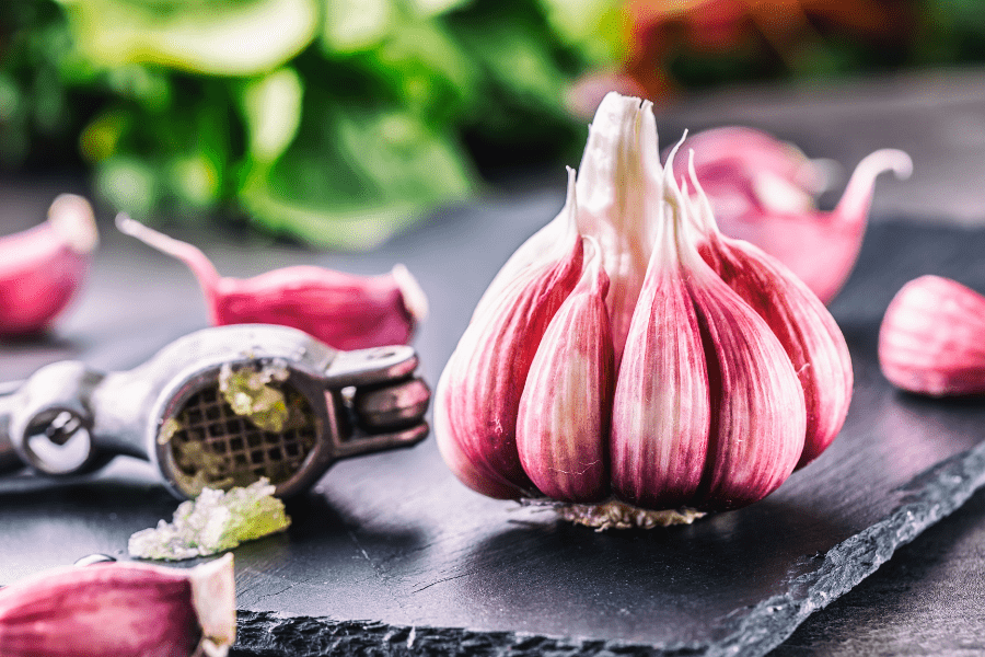 Garlic spray natural pesticide