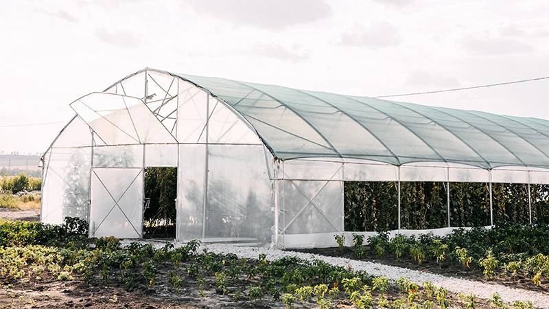 Greenhouse Door cost